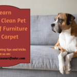 How To Clean Pet Hair Off Furniture And Carpet