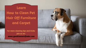 So Reinigen Sie Möbel Und Teppiche Von Haustierhaaren​